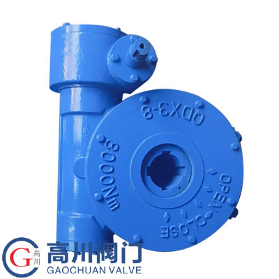 QDX3管網式蝸輪頭